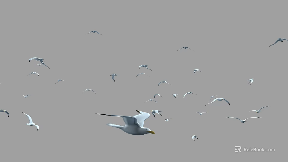 Flock of seagulls flying together in the grey sky with open wings 3d model 