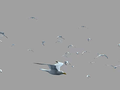 Flock of seagulls flying together in the grey sky with open wings 3d model