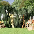 Outdoor Floral Display With Hanging Plants White Flowers And Fruits In Green Grass