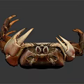 Red Brown Crab With Large Claws On Gray Background Close Up View 3d model