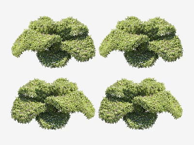 Green Landscaping Shrubs With Lush Foliage And Trimmed Shapes In Garden 3d model