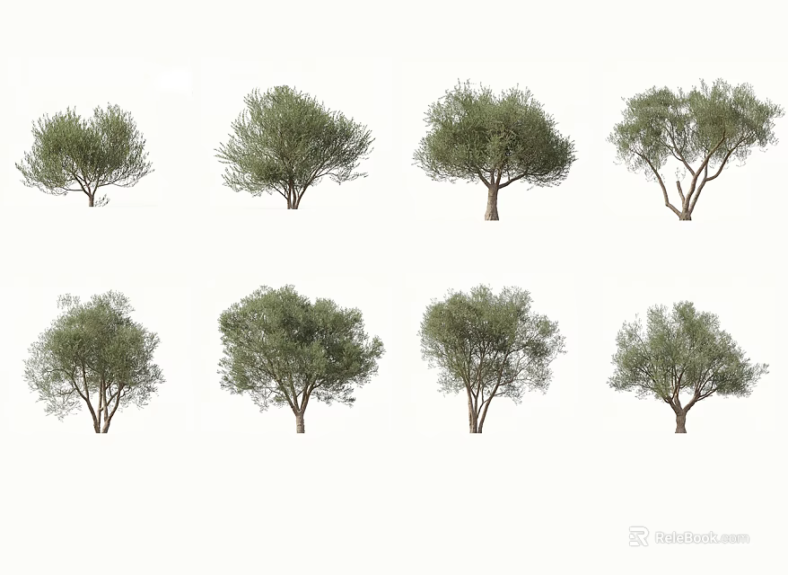 Various Arbor Trees With Green Foliage And Different Trunk Shapes 3d model