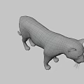 Realistic 3D Model Of A Standing Tiger With Striped Fur And Detailed Features