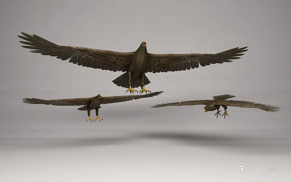 Three Majestic Eagles Soaring High with Outstretched Wings in Clear Sky 3d model 