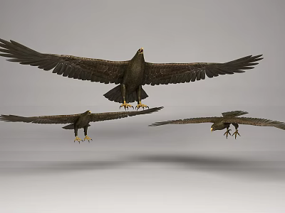 Three Majestic Eagles Soaring High with Outstretched Wings in Clear Sky 3d model