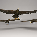 Modern Eagle 3d model