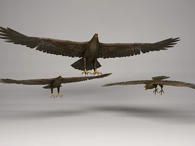Three Majestic Eagles Soaring High with Outstretched Wings in Clear Sky 3d model Three Majestic Eagles Soaring High with Outstretched Wings in Clear Sky 3d model