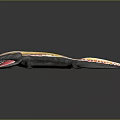 Vibrant Aquatic Salamander Featuring Long Body Smooth Skin And Distinctive Yellow Orange Black Color Pattern
