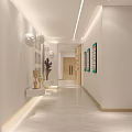 School Corridor With Bright Lighting And Wall Displays
