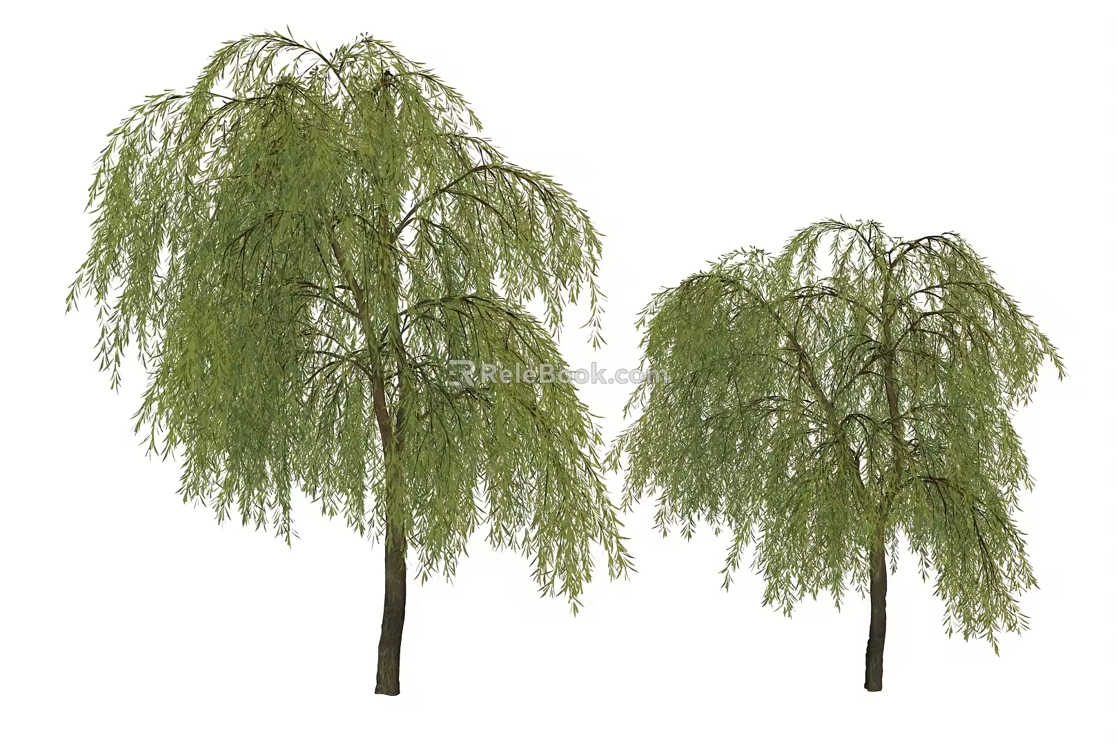 landscape tree modeling tree willow 3d model