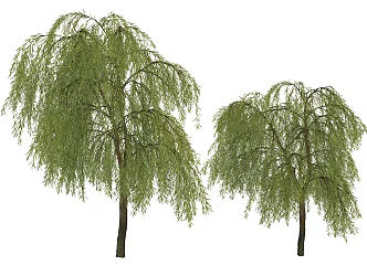 landscape tree modeling tree willow 3d model