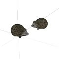 Two Small Spiny Reptile Models With Brown Textured Bodies On White Surface