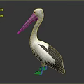 White and Black Feathered Pelican With Long Pink Beak Standing On Gray Background