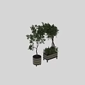 Bonsai Potted Plants In Geometric Patterned Pots With Lush Green Foliage And Varied Heights