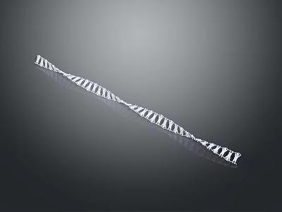Long Silver Spiral Metallic Household Item For Daily Decorative Use 3d model