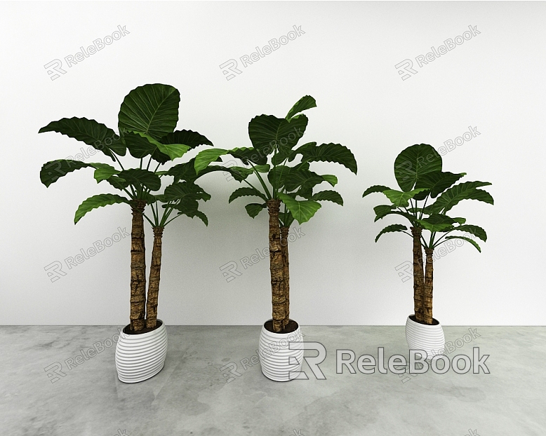 green plant model