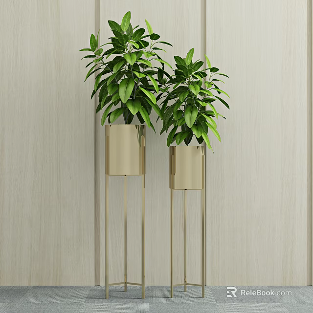 Decorative Potted Plants In Golden Pots With Tall Slender Metal Stands Against Light Wooden Wall 3d model 