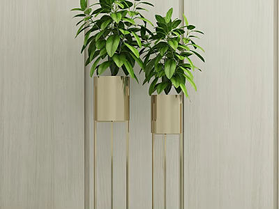 Decorative Potted Plants In Golden Pots With Tall Slender Metal Stands Against Light Wooden Wall 3d model