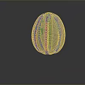 Transparent Striped Egg Structure Of Aquatic Animal In Marine Habitat