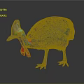 Vibrant Cassowary With Blue Feathers Red Wattles And Distinctive Casque On Gray Background