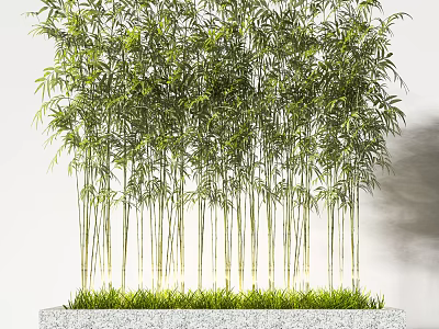 Tall Dense Bamboo Plants With Green Leaves And Lush Stems In Natural Garden 3d model