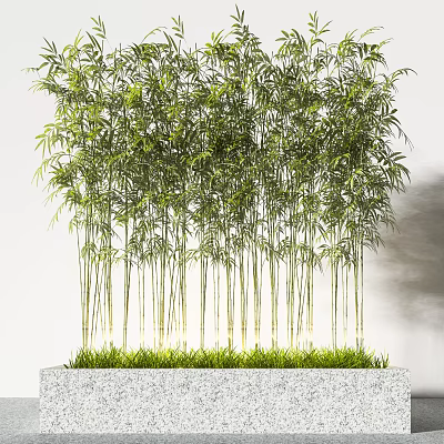 Tall Dense Bamboo Plants With Green Leaves And Lush Stems In Natural Garden 3d model Tall Dense Bamboo Plants With Green Leaves And Lush Stems In Natural Garden 3d model