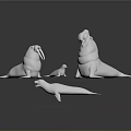 White Walrus And Seal Models Decorative Figurines In Multiple Sizes On Dark Background
