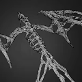 Flying Animal Dragon Skeleton Silver Skeletal Structure With Wings 3D Rendered On Dark Background