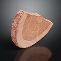 Natural Wood Slice with Distinct Annual Rings and Smooth Wooden Grain Texture