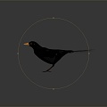 Modern Crow Birds 3d model