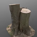 Natural Wood Tree Stumps With Cut Surfaces And Soil Base Details 3d model