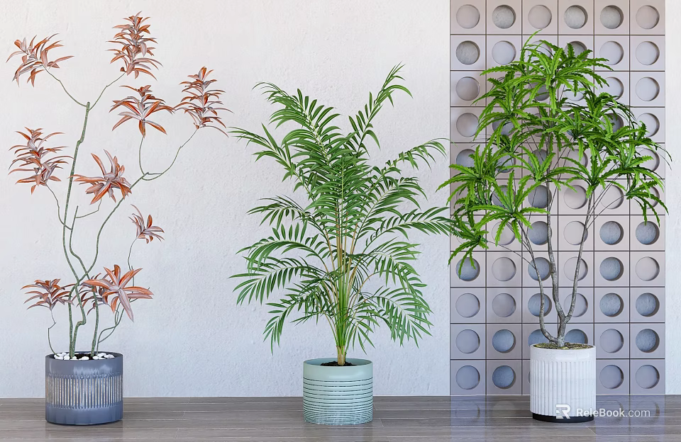 Elegant Bonsai Potted Plants With Red Green Leaves In Gray Light Green White Pots 3d model 