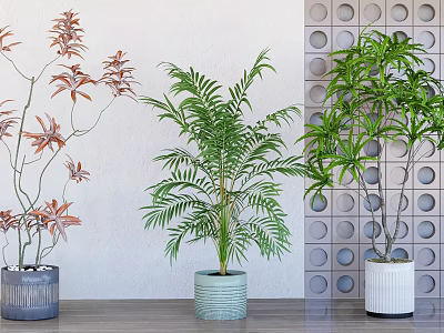Elegant Bonsai Potted Plants With Red Green Leaves In Gray Light Green White Pots 3d model