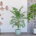 Elegant Bonsai Potted Plants With Red Green Leaves In Gray Light Green White Pots