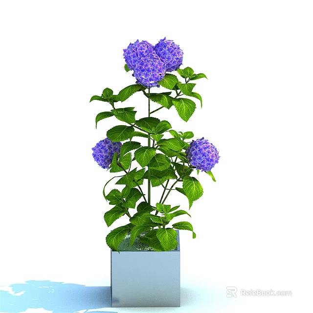 Bonsai Potted Plant With Purple Hydrangea Flowers And Green Leaves In Blue Square Pot 3d model 