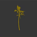 Green Plant With Slender Stem And Several Green Leaves On Gray Background With Reflection