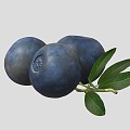 Modern Blueberry Fruit 3d model