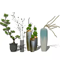 Elegant Ceramic Glass Vases With Pine Tree Branches And Small Green Plants 3d model