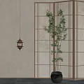 Japanese Style Bonsai Bamboo Plant With Wooden Screen And Hanging Lantern