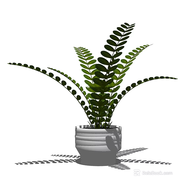 Green Fern Bonsai Potted Plant With Feathery Leaves In White Striped Pot 3d model 