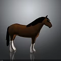 Brown Horse Model with Black Mane Tail and White Legs Standing on Gray Background
