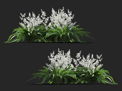 Vibrant White Flower Clusters with Lush Green Leaves in Natural Garden 3d model