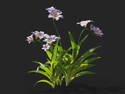 Vibrant Purple and White Flowers with Long Green Leaves Blooming on Black Background 3d model