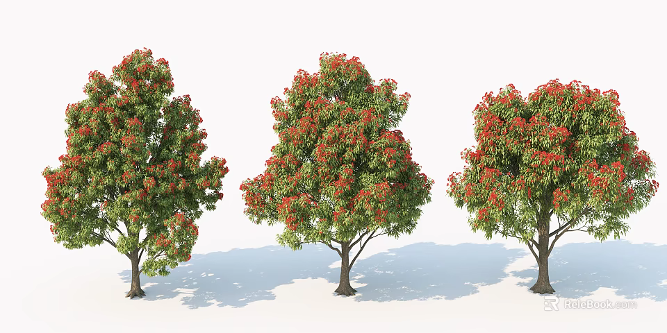 Three Arbor Trees With Red Flowers Green Leaves Trunks And Shadows 3d model 
