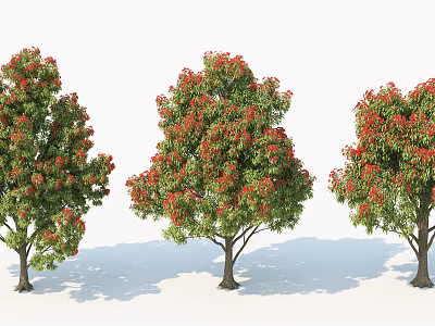 Three Arbor Trees With Red Flowers Green Leaves Trunks And Shadows 3d model