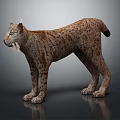 3D Lynx Model In Standing Pose With Spotted Fur And Tufted Ears On Gray Background