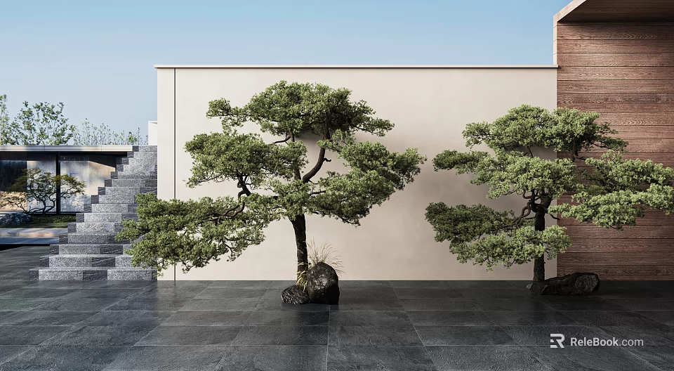 Pine Trees In Modern Courtyard With Beige Wall Dark Stone Floor And Concrete Steps 3d model 