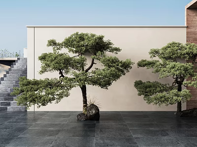 Pine Trees In Modern Courtyard With Beige Wall Dark Stone Floor And Concrete Steps 3d model