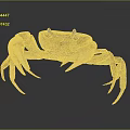 Light Brown Crab With Large Claws Standing On Gray Gradient Background With Reflection 3d model