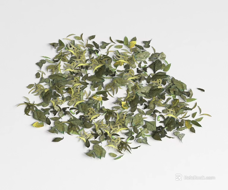 Ground Cover Plants With Lush Green Yellow Leaves For Garden Landscaping 3d model 